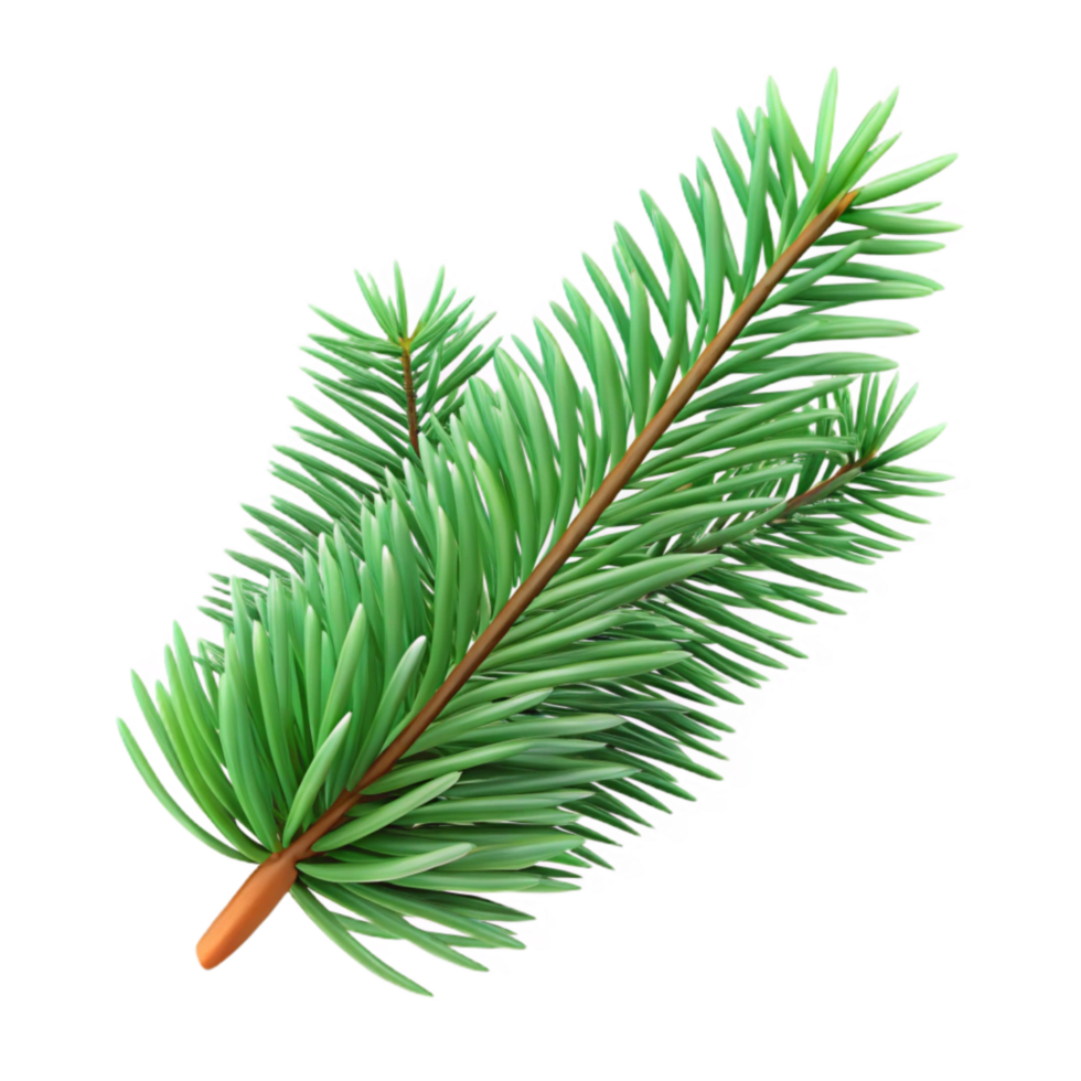 impressive abstract Green Christmas Tree Branch Isolated with Pine Needles high quality png