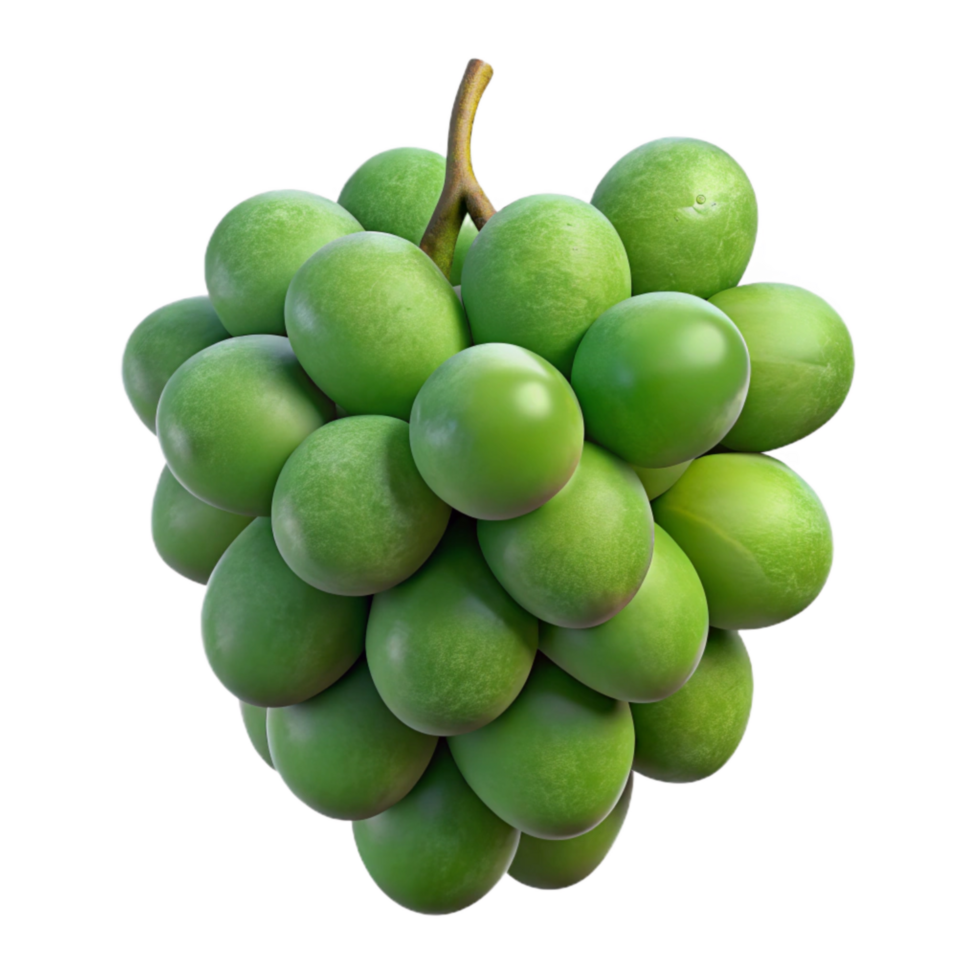 elegant contemporary Green Grapes Bunch Stemmed Cutout Isolated Element detailed png