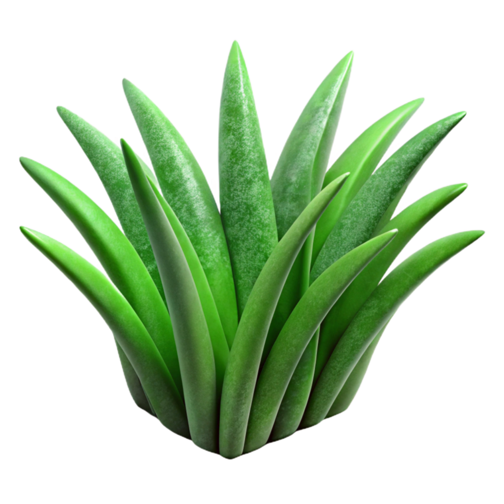 elegant vintage Green Grass Blades Close Up Cutout genuine png