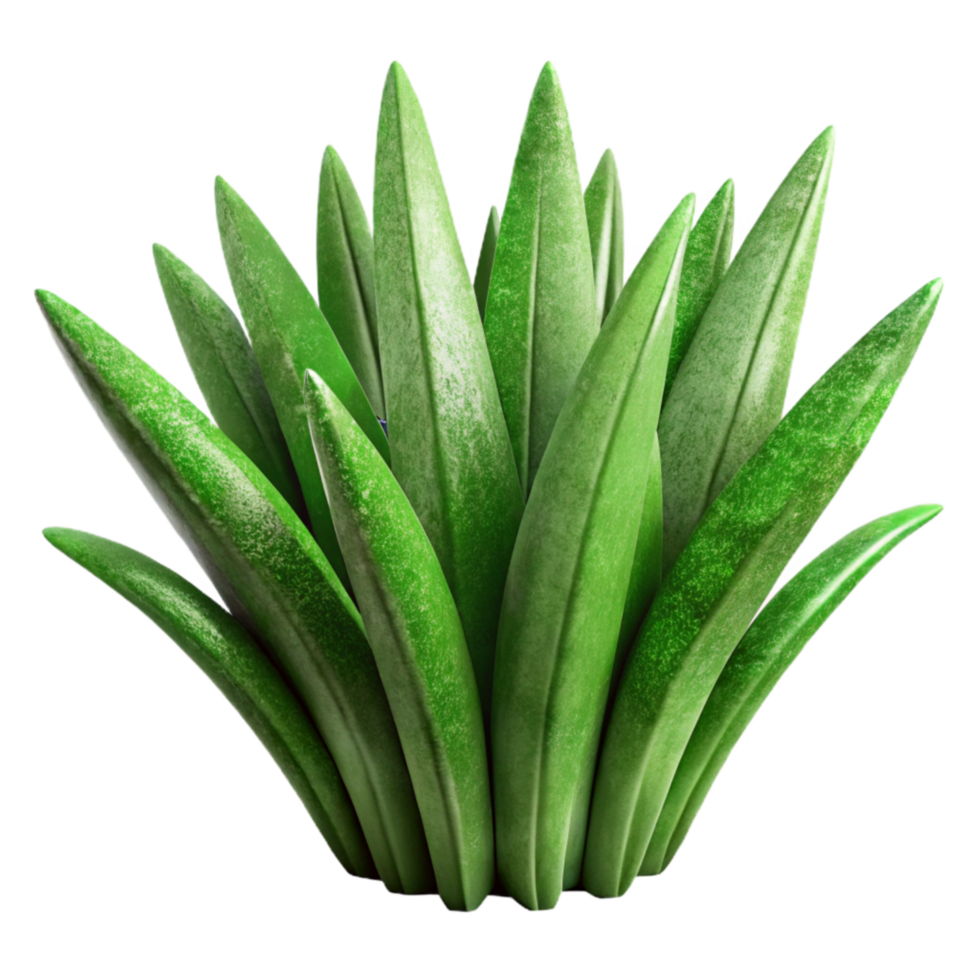 dramatic minimalist Green Grass Blades Close Up Cutout detailed png
