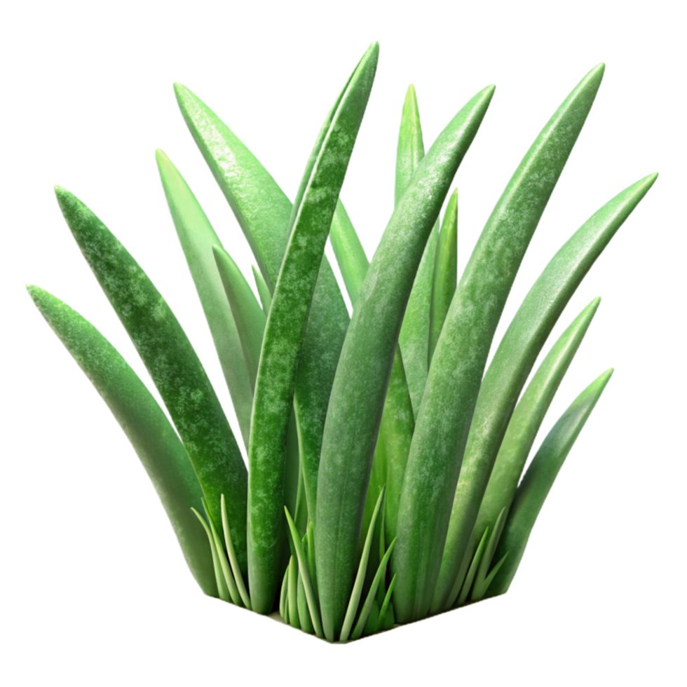 wonderful artistic Green Grass Blades Close Up Cutout genuine png