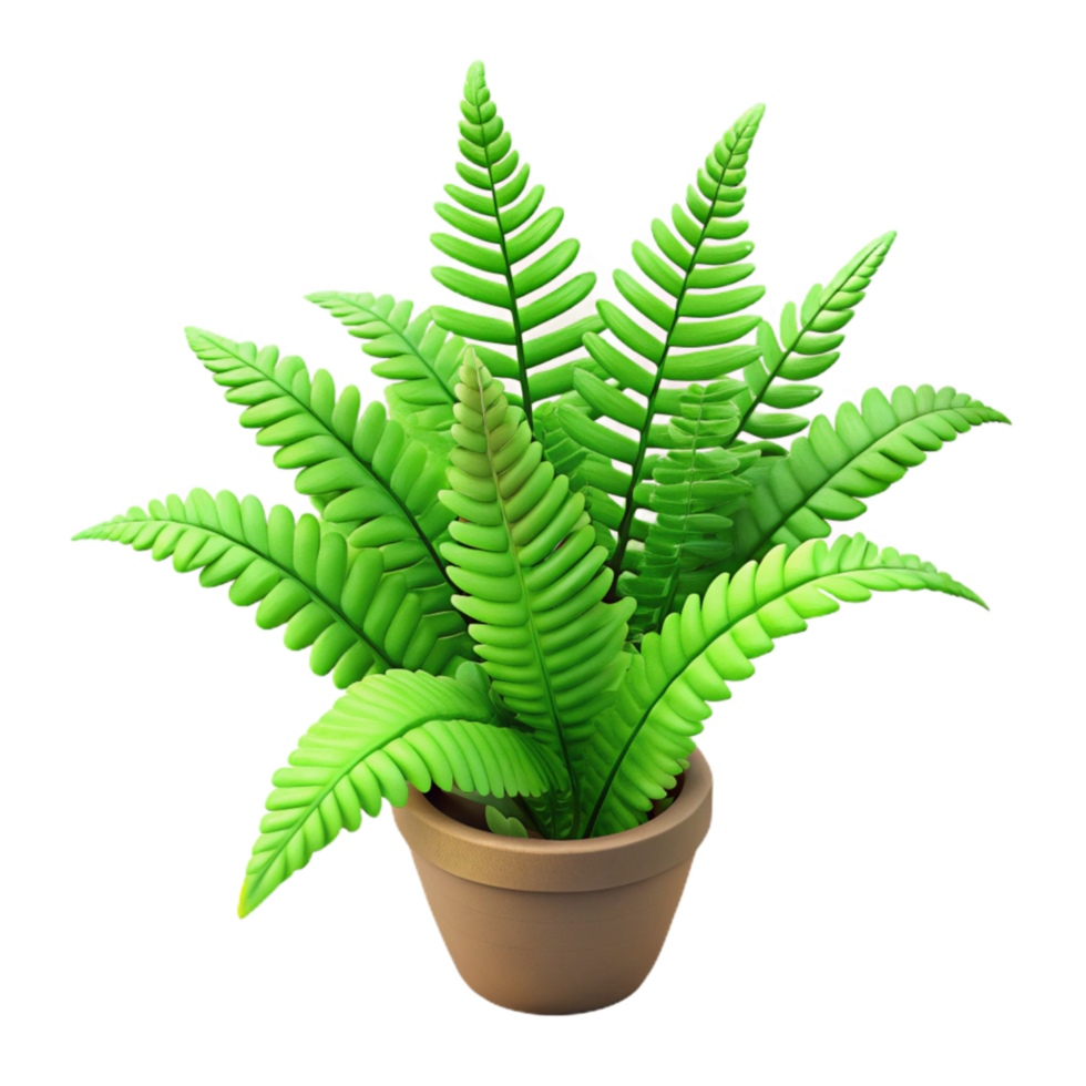 elegant vintage Green Indoor Plant Fern Isolated detailed png