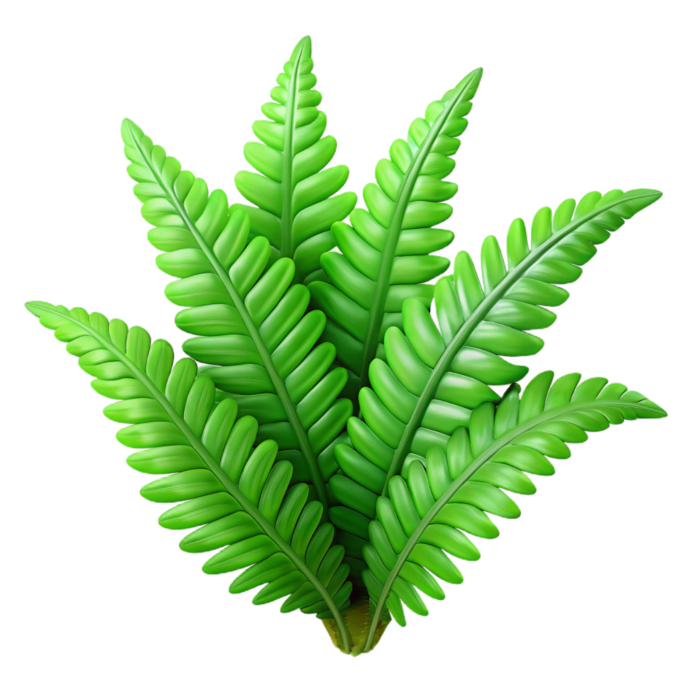 extraordinary modern Green Indoor Plant Fern Isolated exclusive png