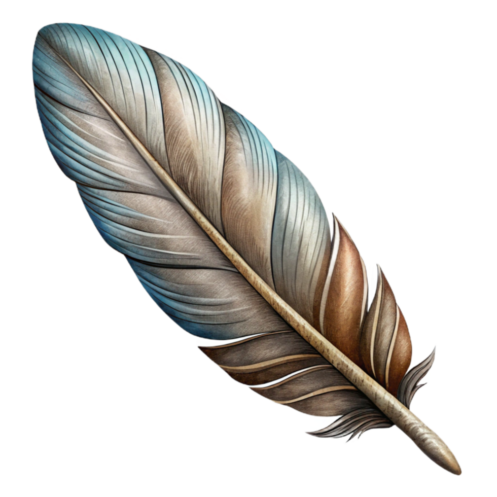 elegant minimalist Hand Drawn Feather Illustration Cutout detailed png