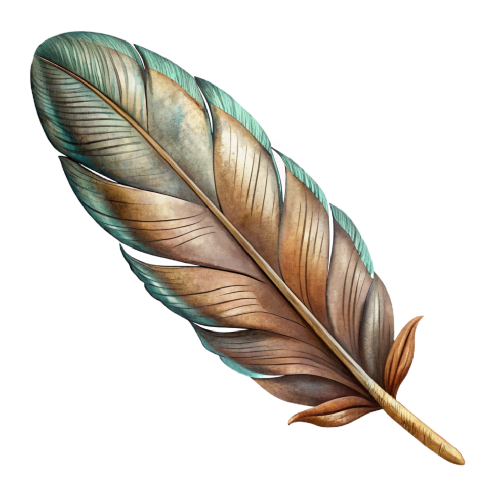 magnificent vintage Hand Drawn Feather Illustration Cutout detailed png