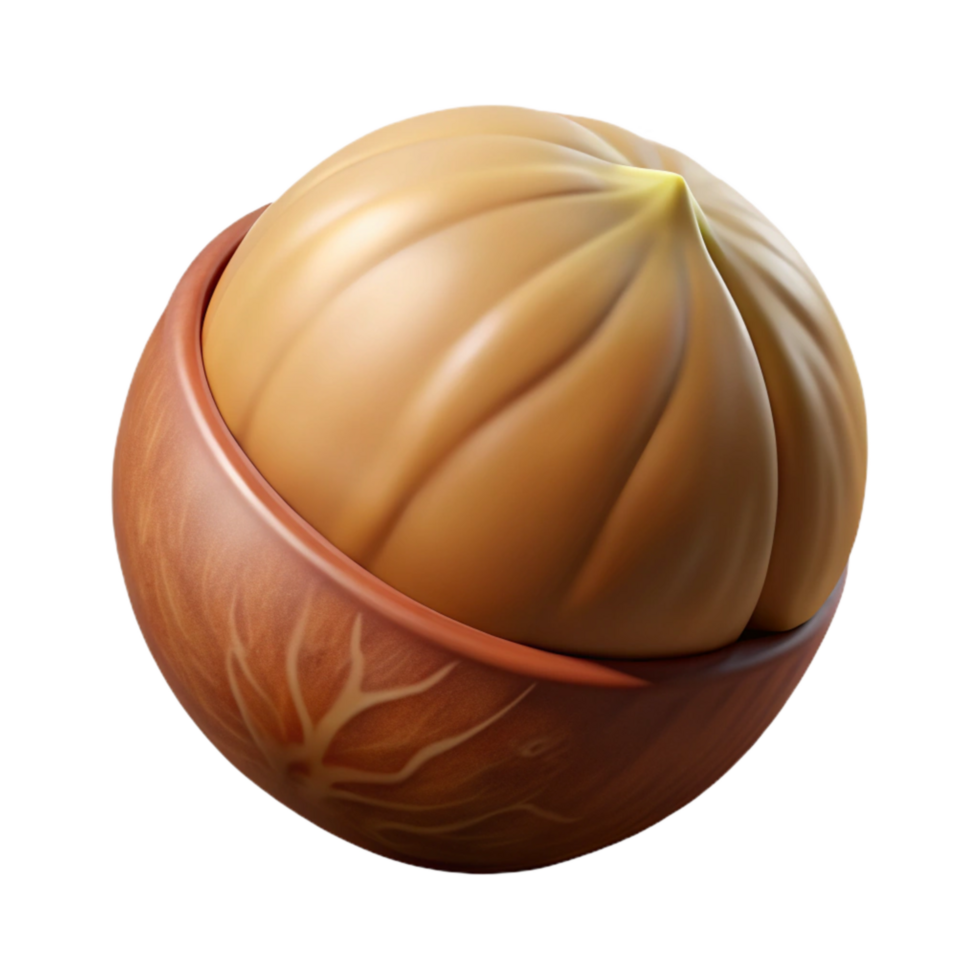 magnificent artistic Macadamia Nut Brown Isolated Element with Smooth Shell detailed png