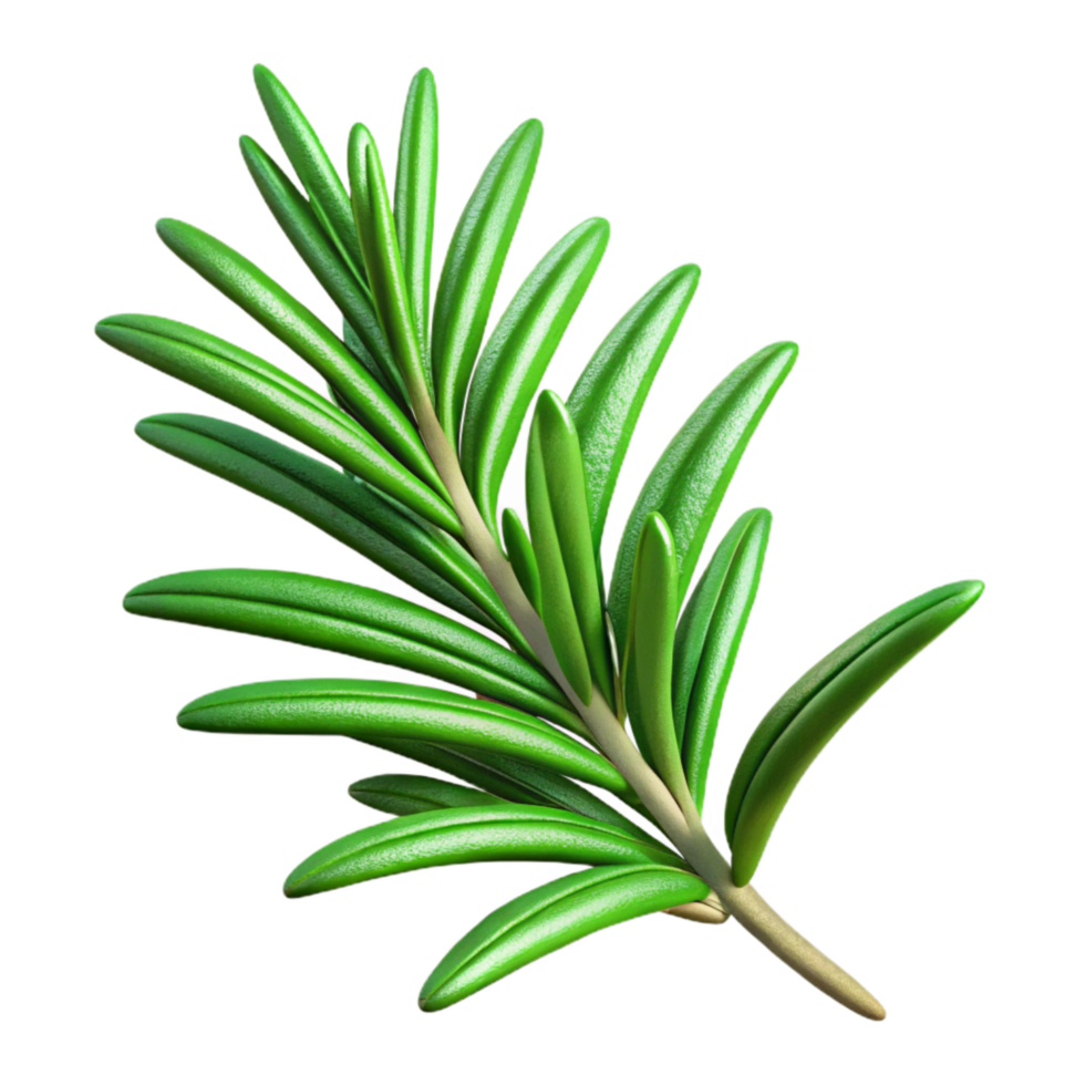 vibrant abstract Rosemary Sprig Green Cutout with Needle-like Leaves high quality png