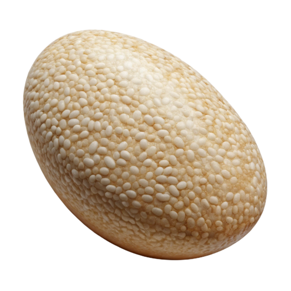 vibrant classic Sesame Seeds White Small Isolated Element with Oval Shape original png