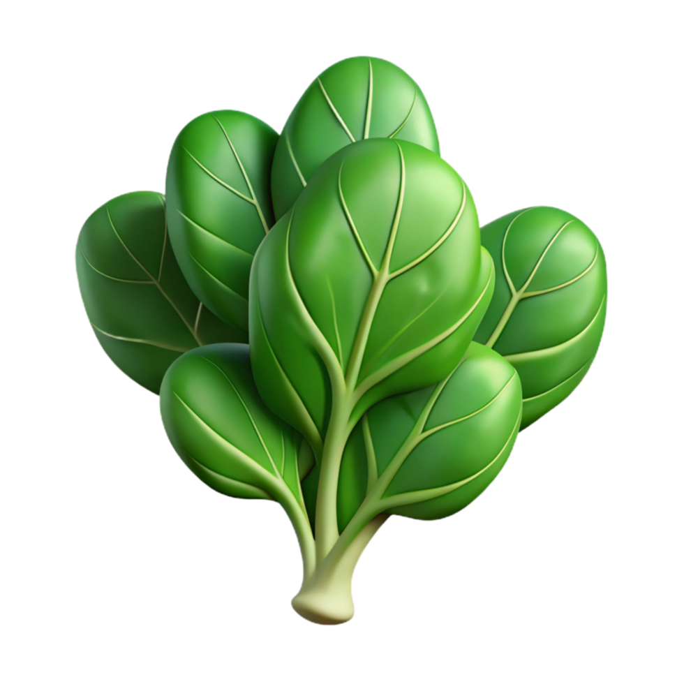 stunning artistic Spinach Isolated with Green Leaves high resolution png