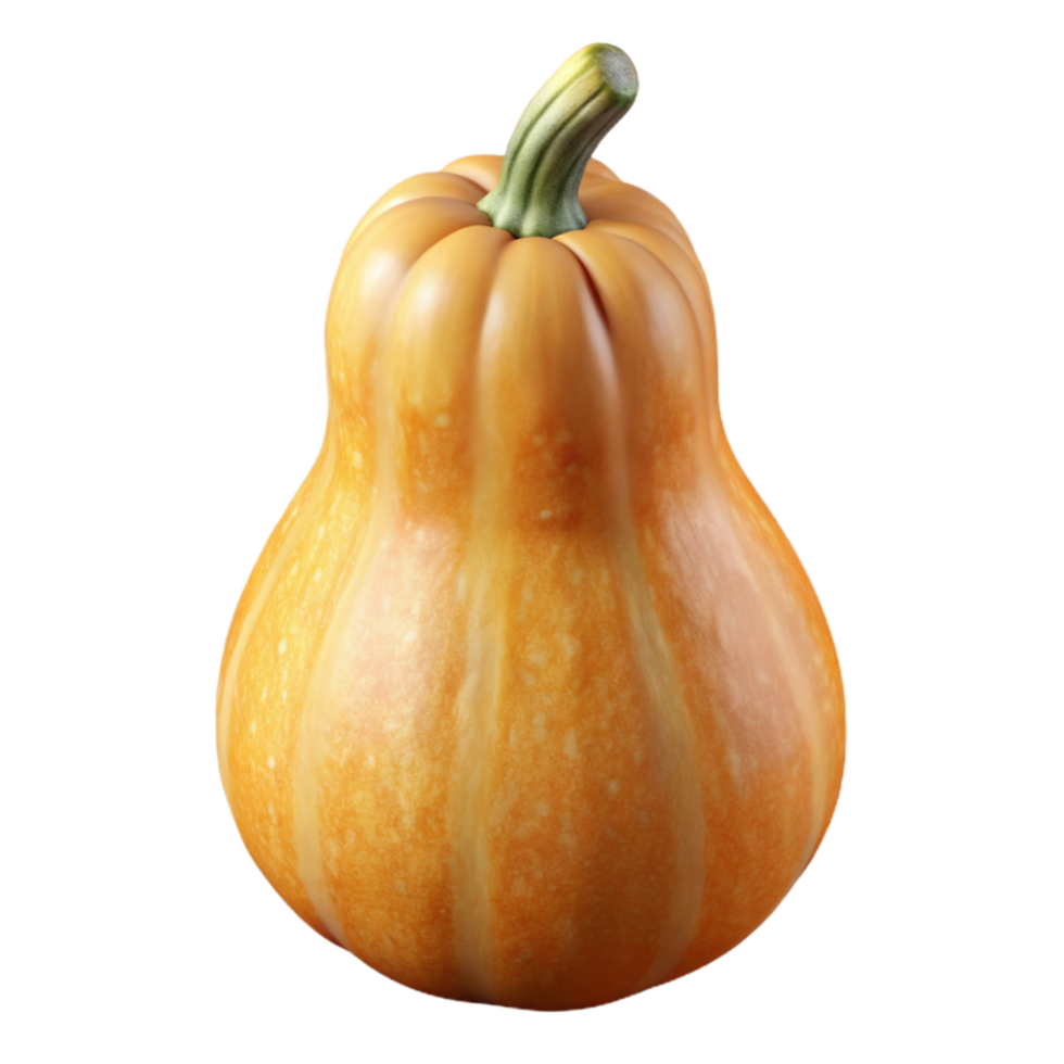 extraordinary modern Squash Butternut Whole Tan Transparent premium png