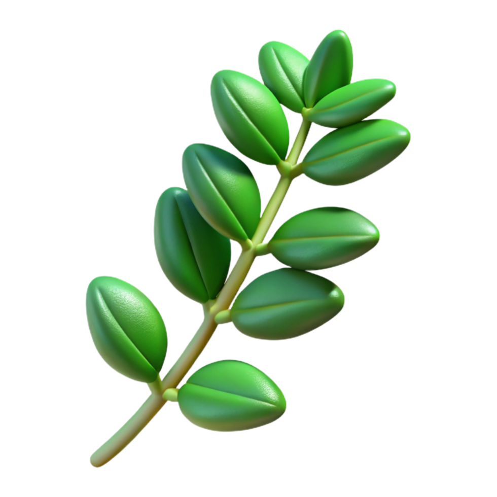 serene contemporary Thyme Sprig Green Isolated Element with Small Leaves original png