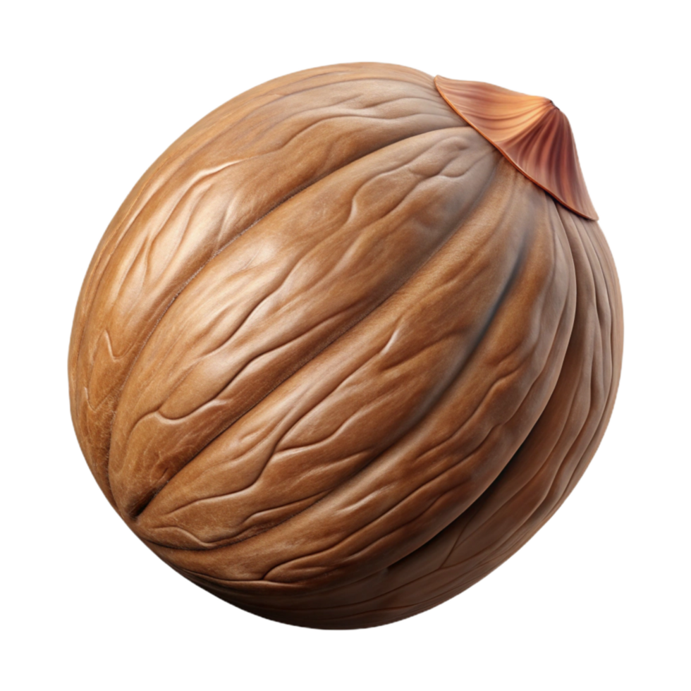 vibrant classic Walnut Nut Brown Cutout on Transparent Background with Shell high resolution png