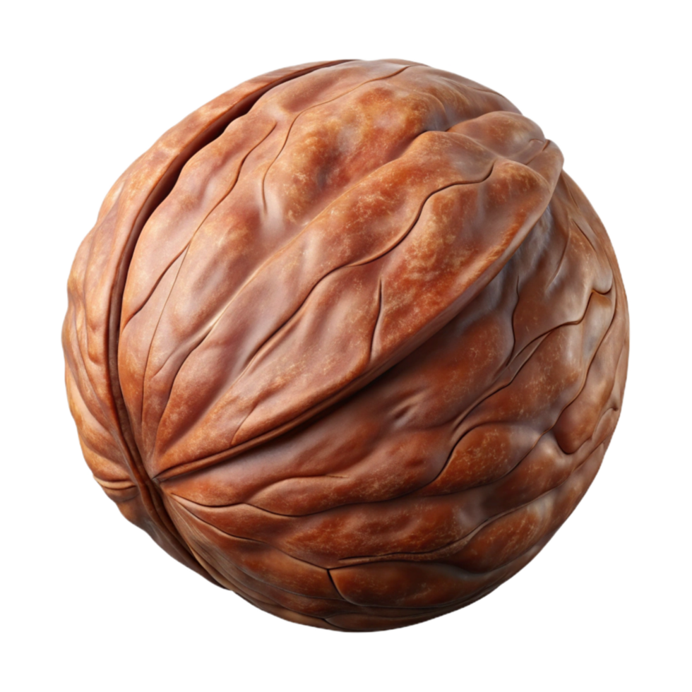 dramatic minimalist Walnut Shell Brown Textured Isolated premium png