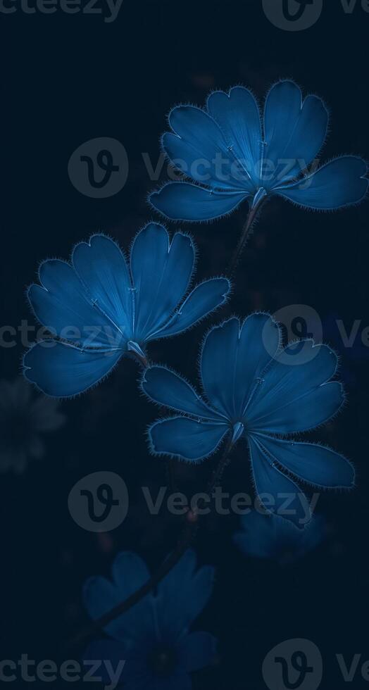 Stunning Blue Flower Phone Wallpaper Creating a Tranquil and Elegant Background photo