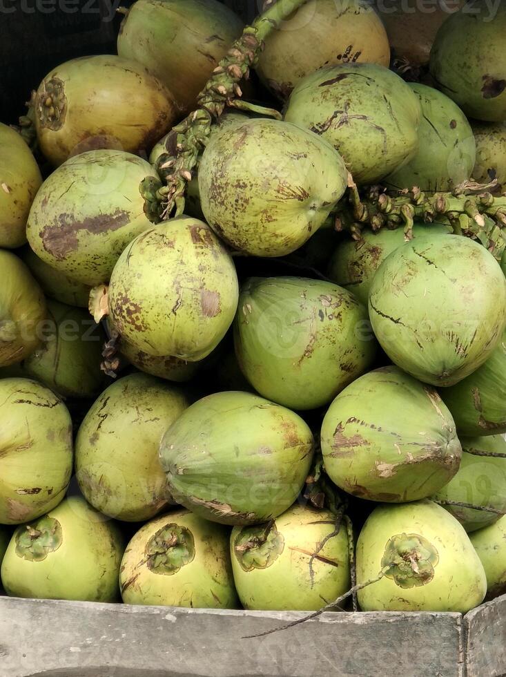 fresh green coconut. summer fruit background. photo