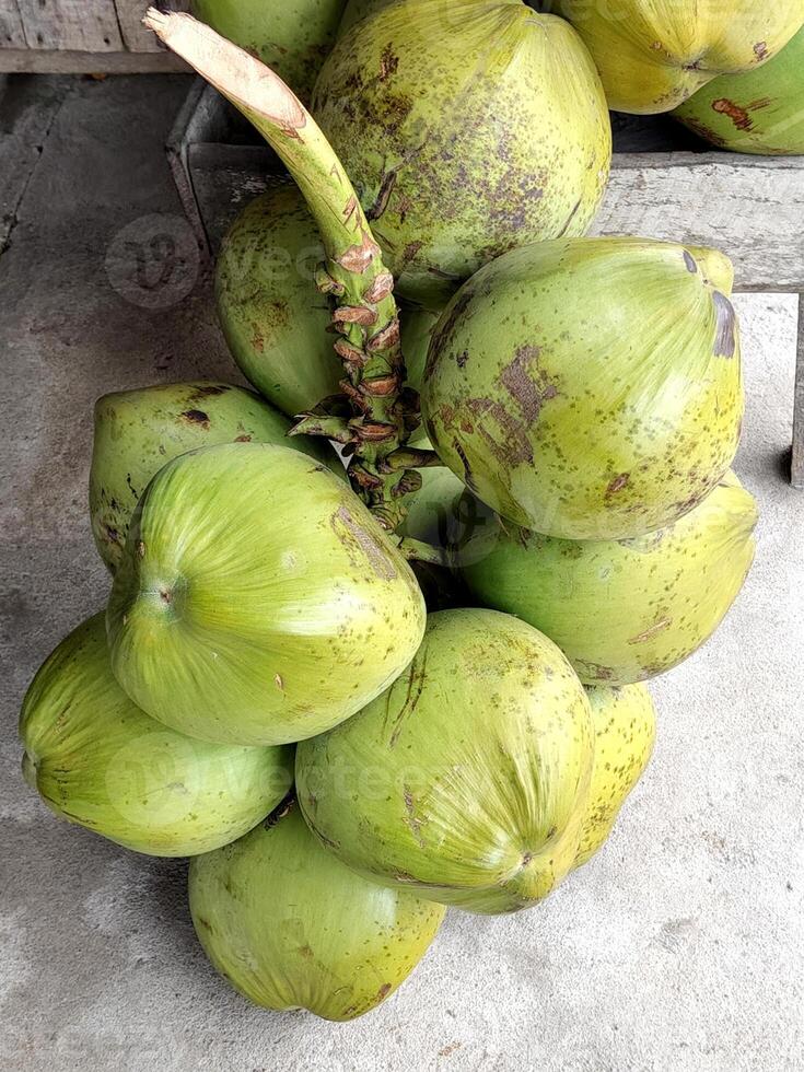 fresh coconut taken from the tree photo