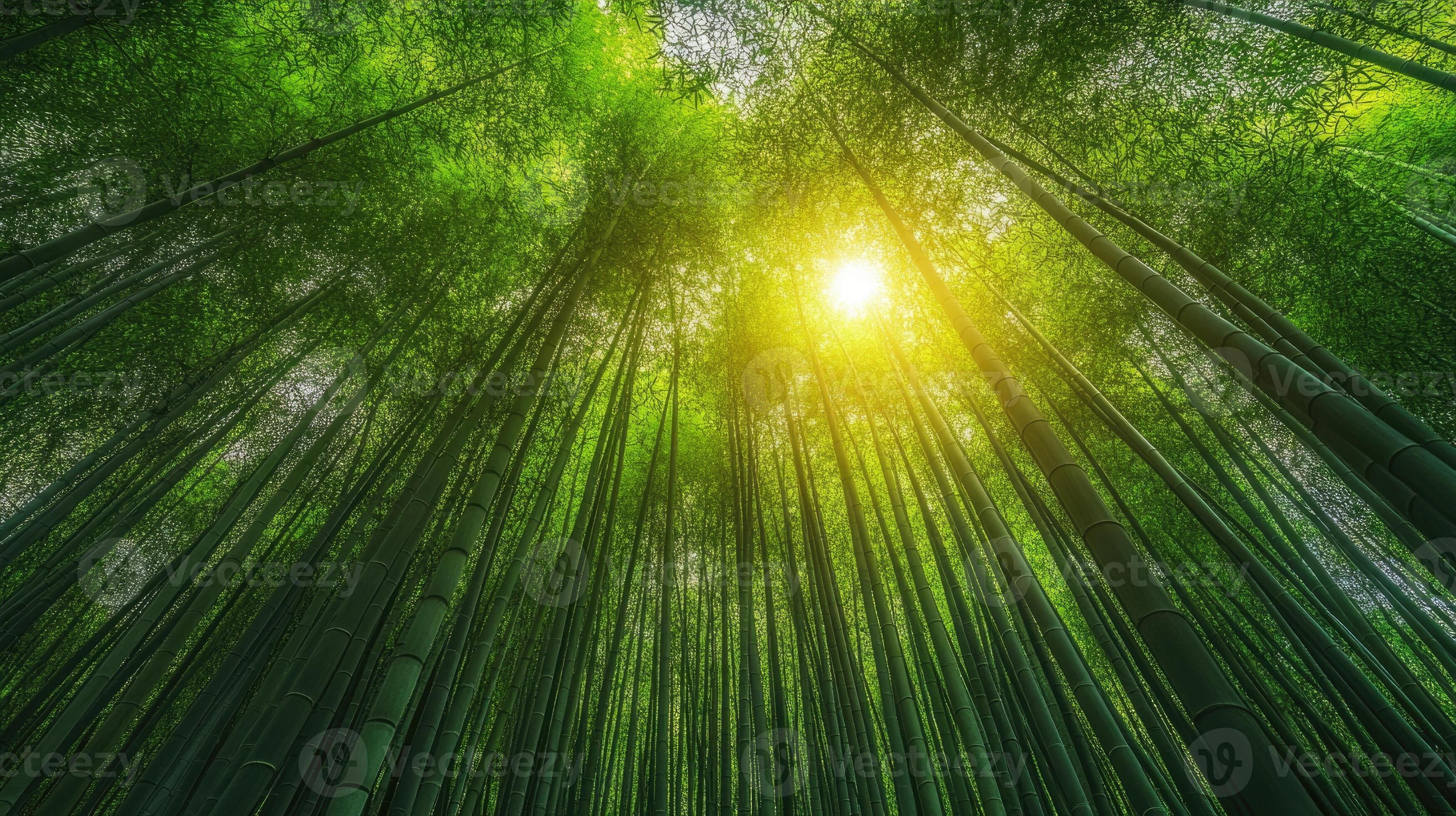 Foil】《Green Sun's Zenith》[FtV:Twenty] | hareruya