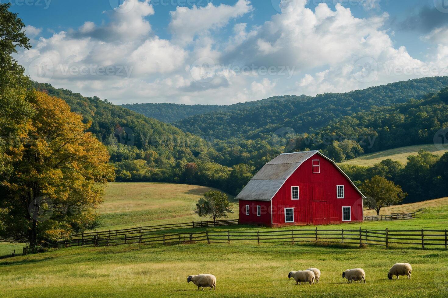 Sheep grazing in green field near red barn in beautiful countryside photo