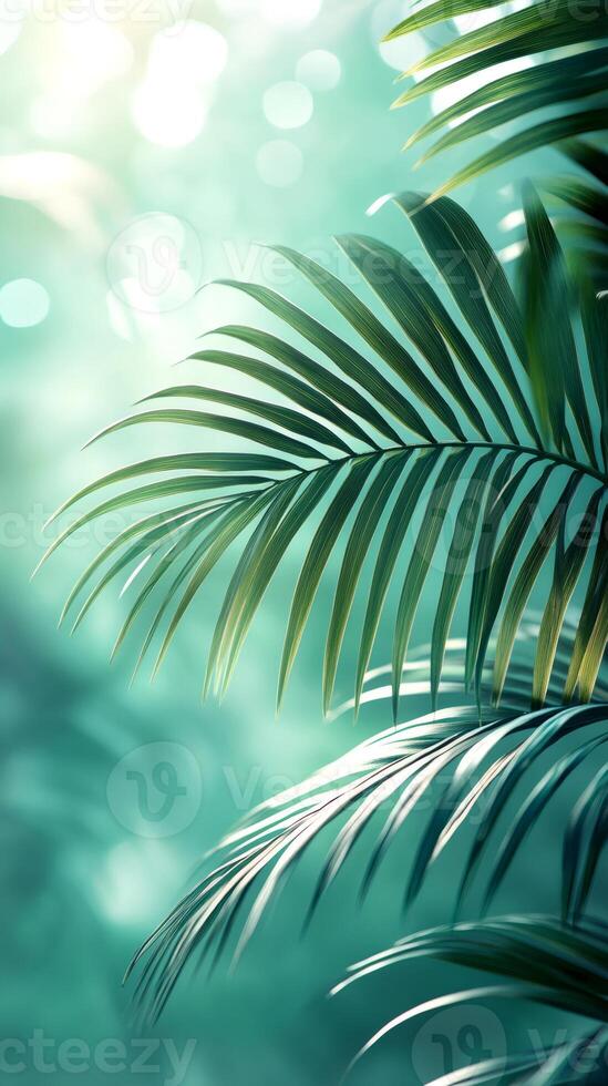 Tropical palm leaves swaying in gentle sunlight creating bokeh effect photo