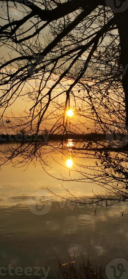 Reflection of sunset in water through tree branches photo