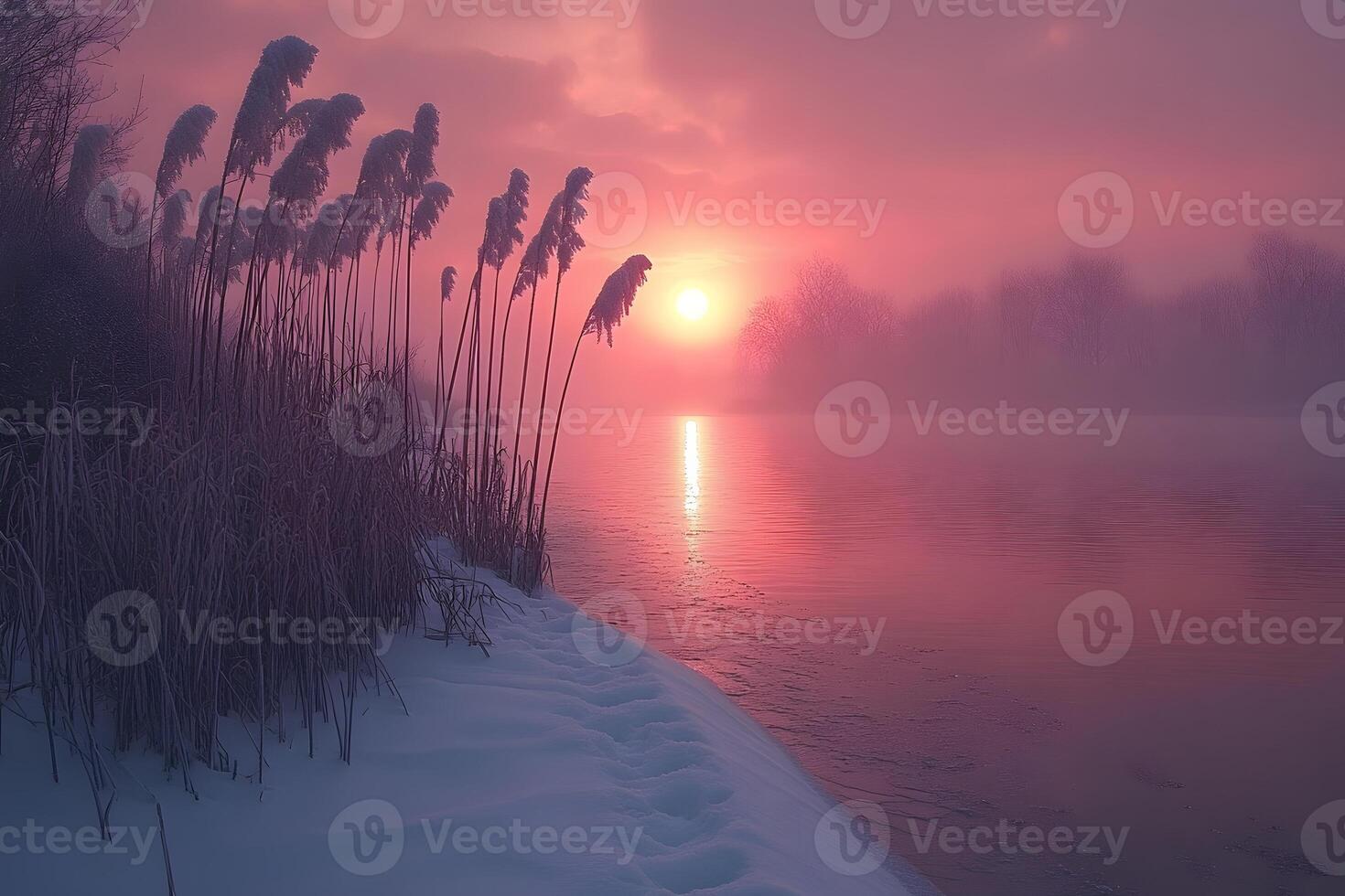 Winter Sunset Over Snow-Covered Lakeside with Frozen Reeds - Tranquil Nature Scene photo