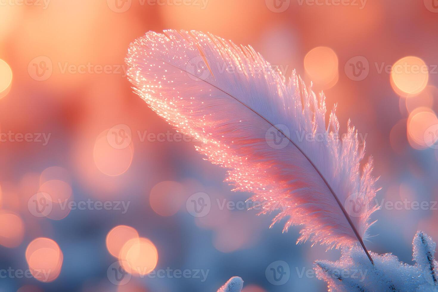 Soft Feather Against Dreamy Sunset Bokeh Background for Tranquil Designs photo