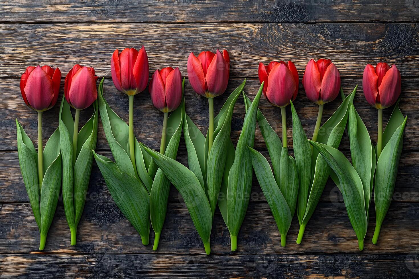 Red Tulip Arrangement on Rustic Wooden Surface for Spring Decor and Designs photo