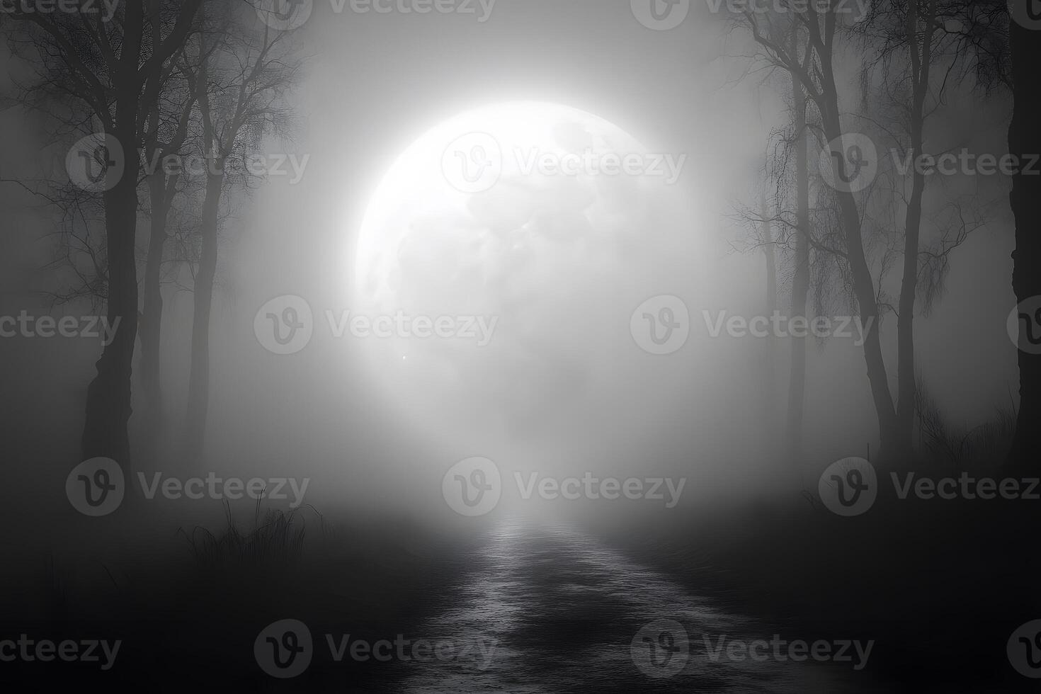 Enigmatic Moonlit Pathway in Misty Forest - Mysterious Spooky Atmosphere for Halloween Design photo