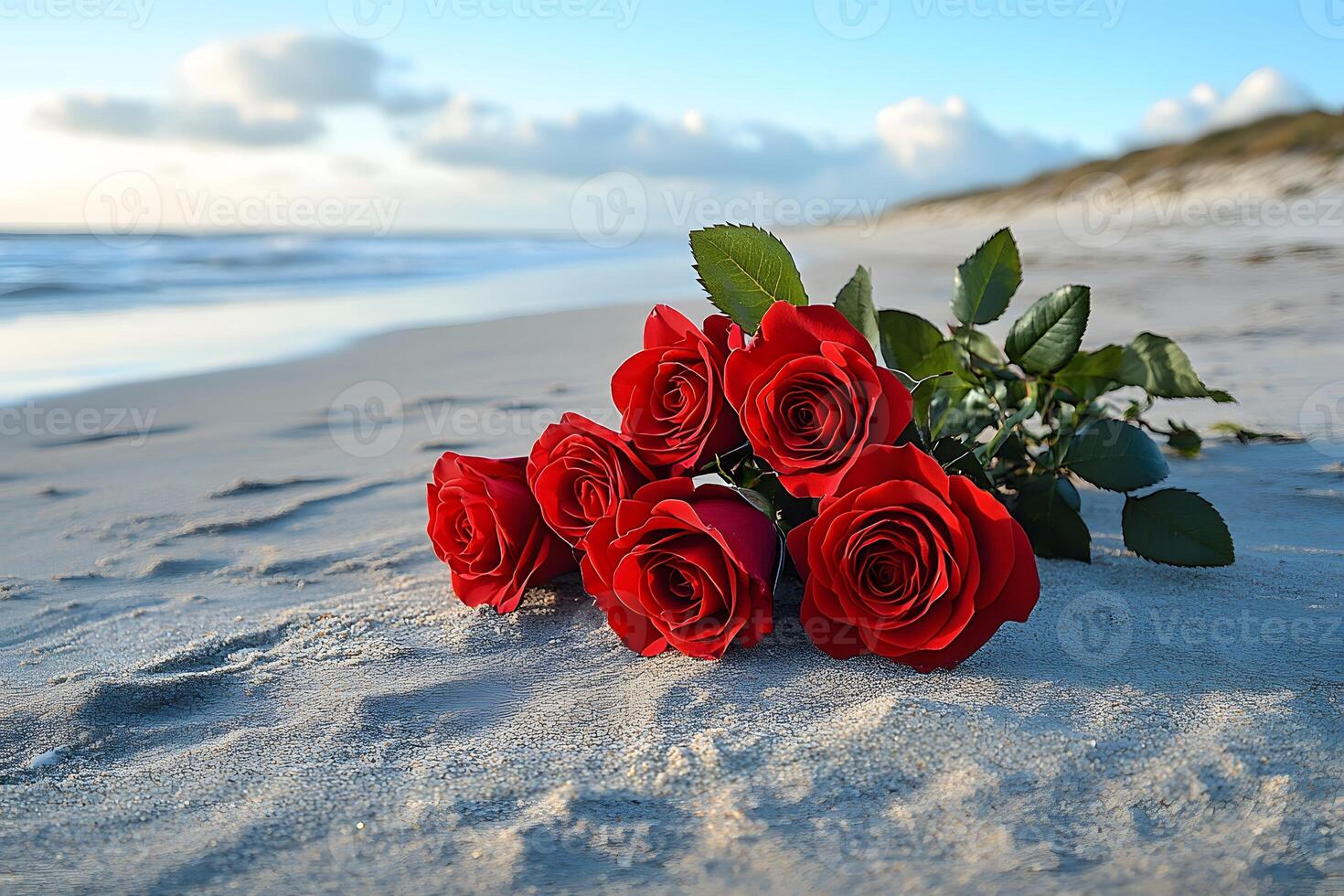 Romantic Red Roses on a Tranquil Beach at Sunset for Love and Serenity Concepts photo
