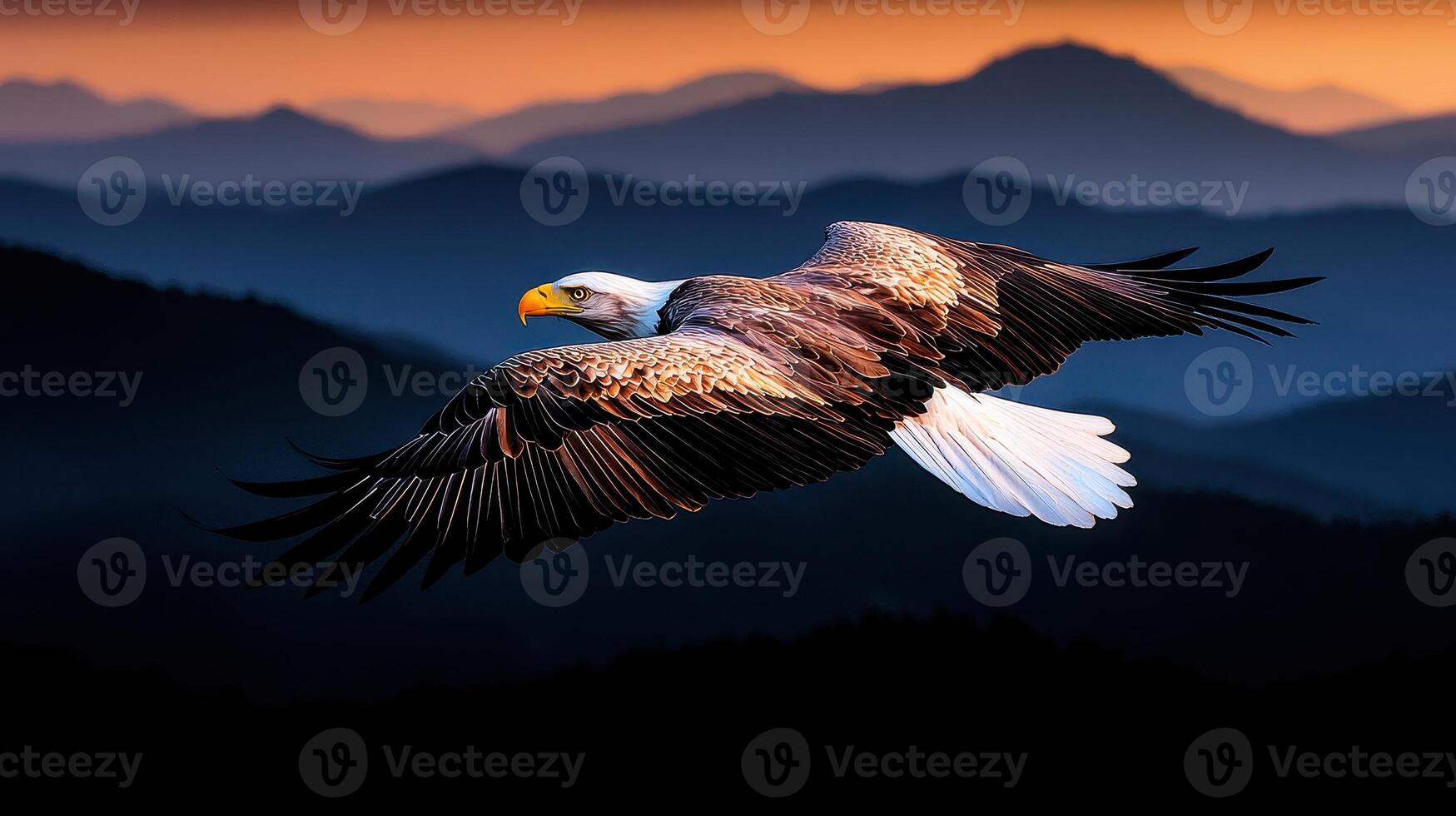 Majestic Bald Eagle Soaring High Above Mountain Ranges at Sunset Wildlife photo