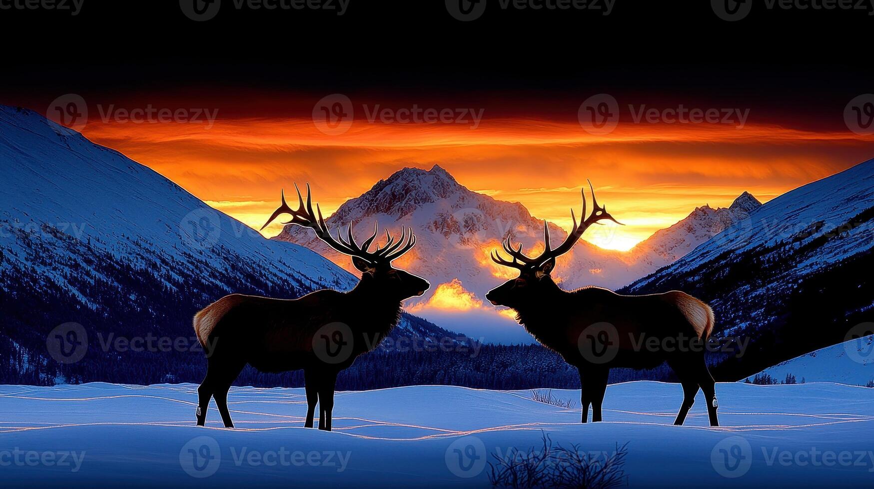 Majestic Elk Silhouette at Sunset in Snowy Mountains Winter Landscape Wildlife Scene photo