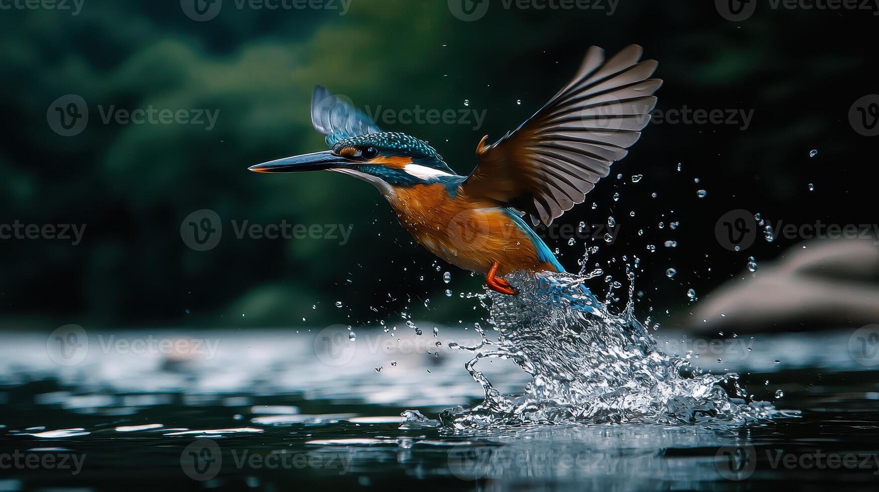 Vibrant Kingfisher Bird in Flight Diving into Water Splashing Dynamic Nature Scene photo
