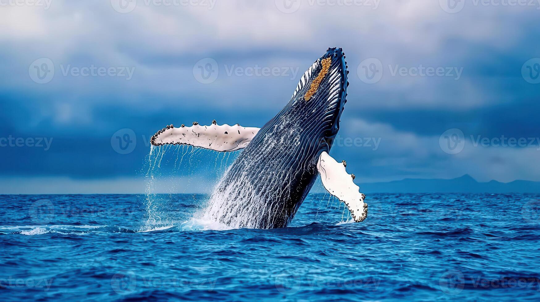 Majestic Humpback Whale Breaching Ocean Surface Dramatic Wildlife Scene Stunning Nature photo