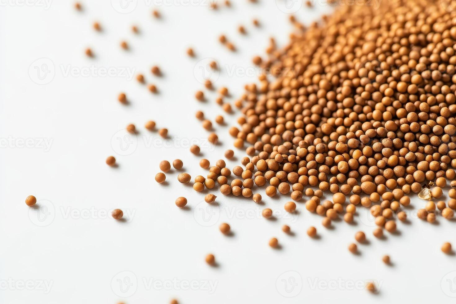 A close-up of scattered small brown seeds on a white surface. photo