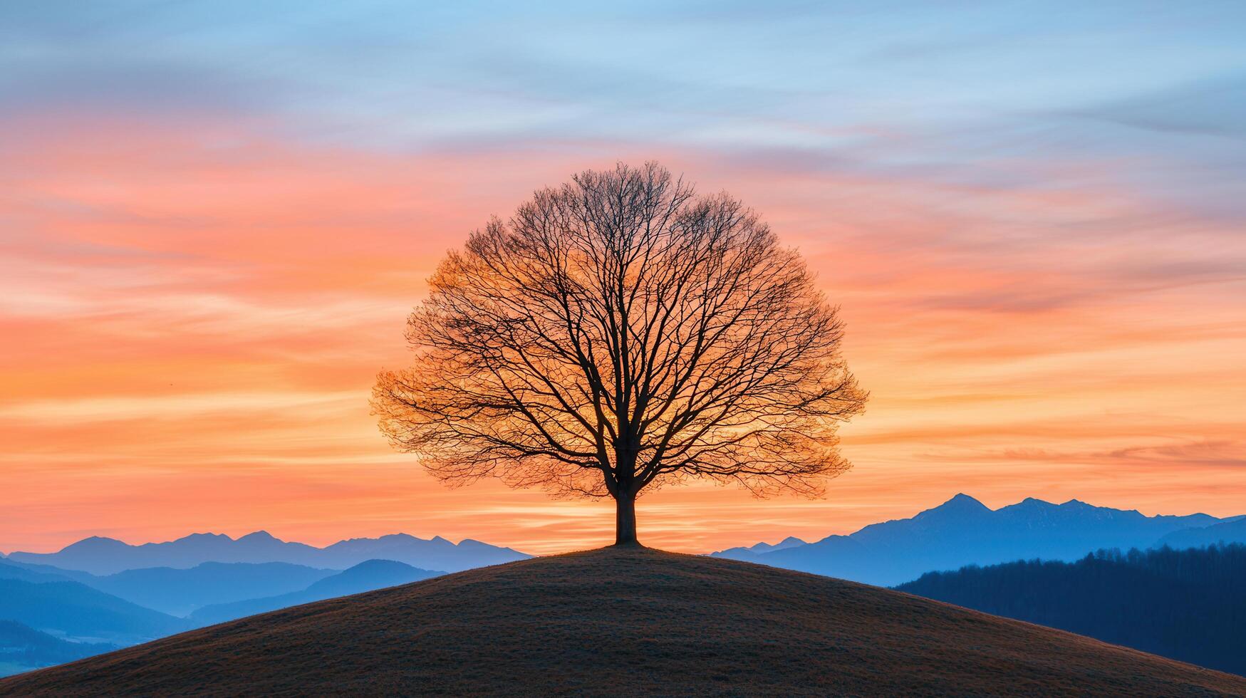 Majestic Silhouette of a Leafless Tree on a Hilltop at Sunrise with Mountain Range Background Peaceful Nature Landscape photo