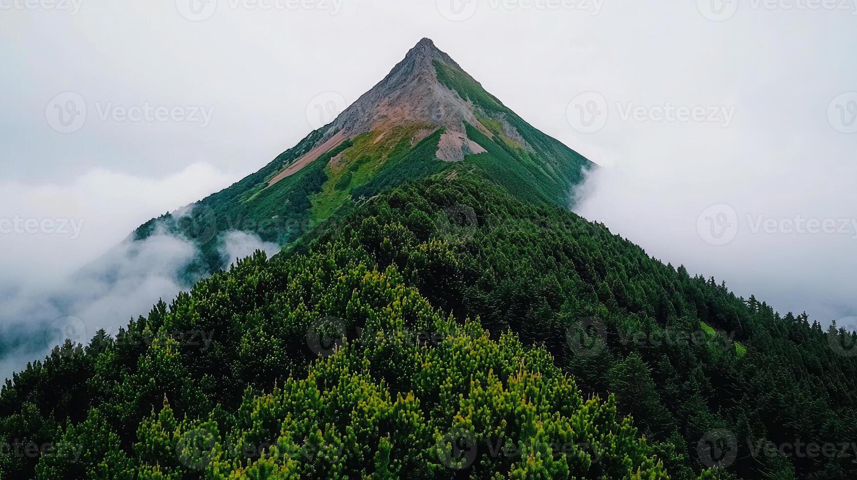 Majestic Mountain Peak Soaring Above a Lush Green Forest Landscape on a Misty Day photo