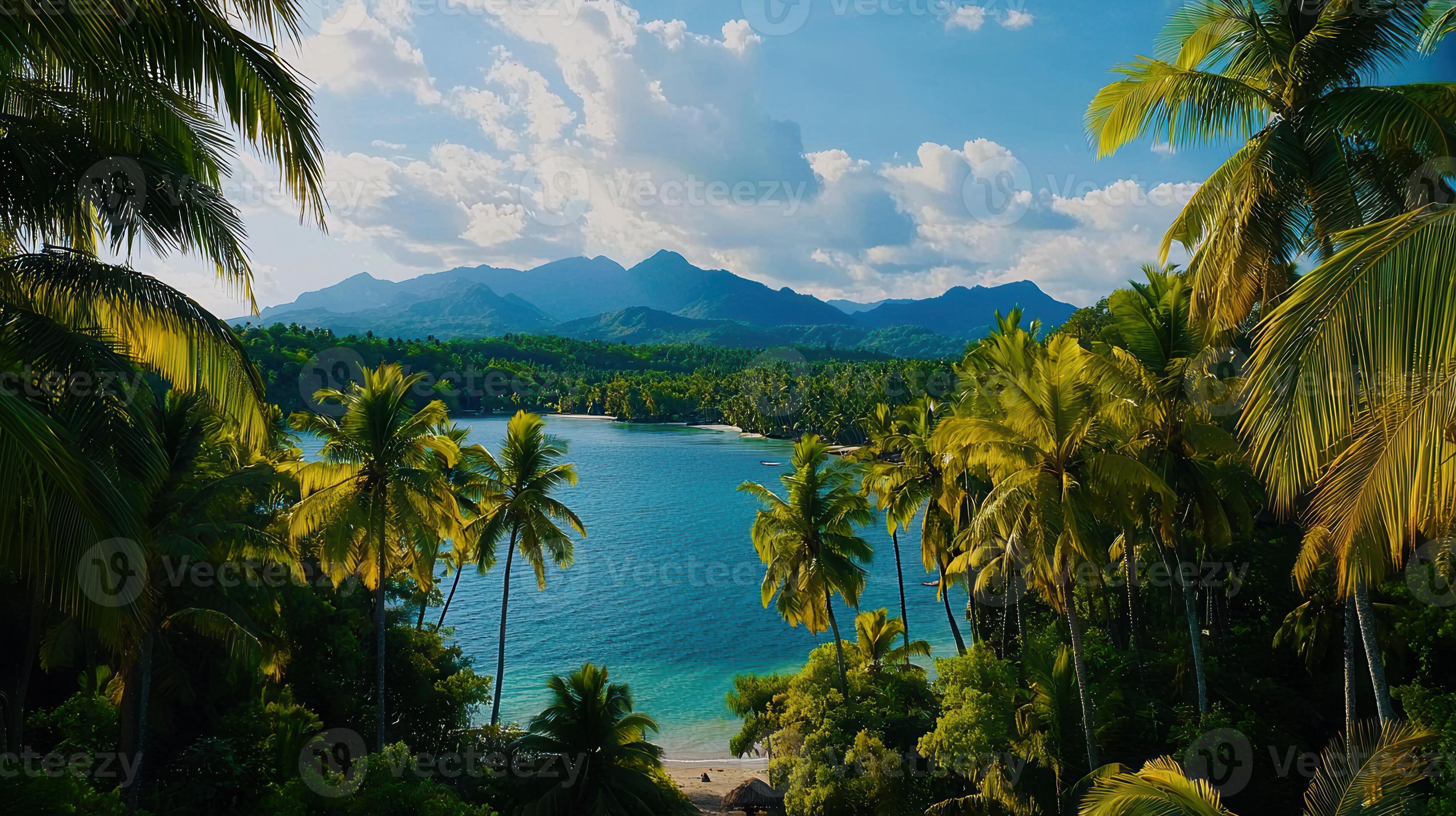 Pacific Palms