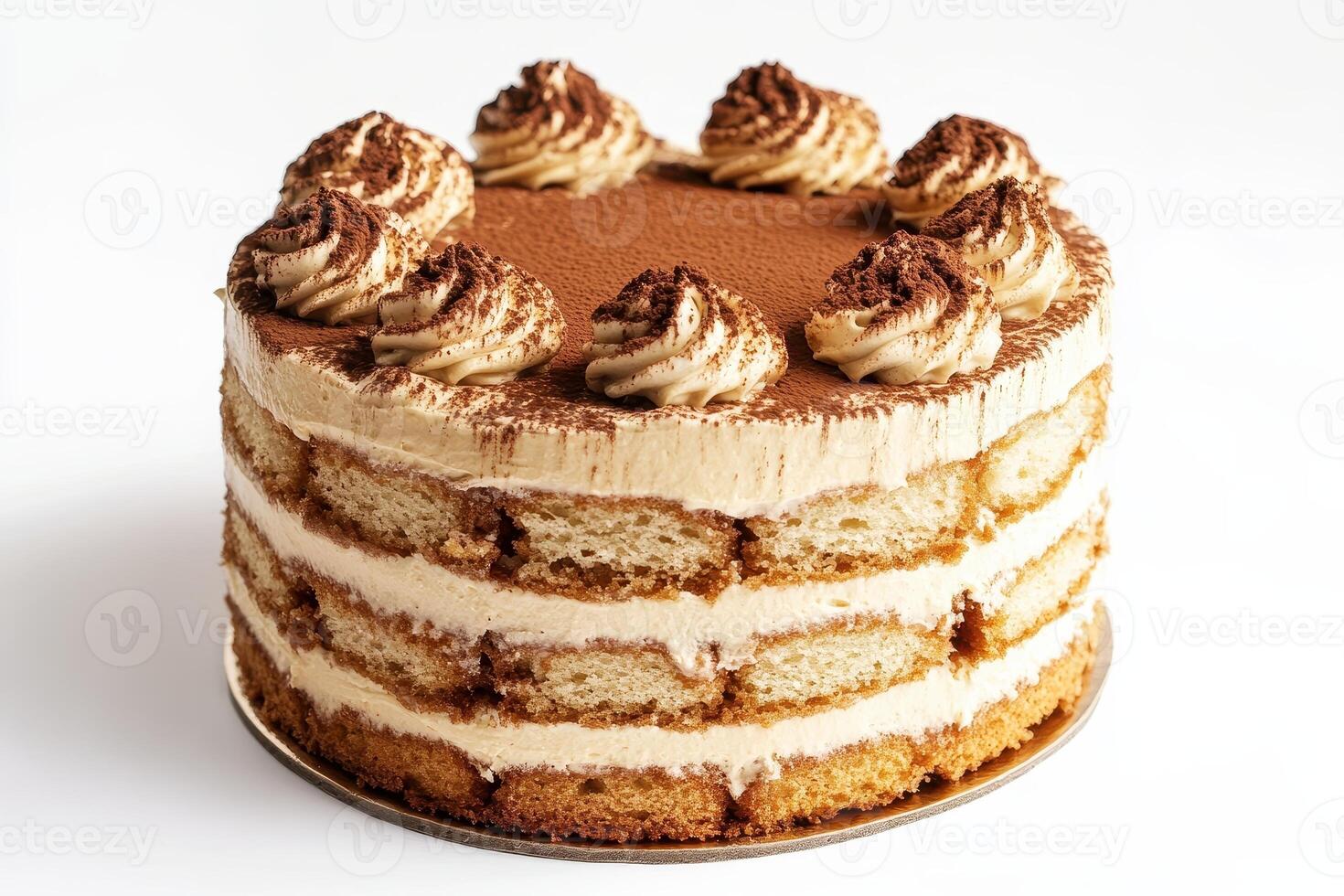 A delicious layered cake topped with cream and cocoa powder isolated on white photo