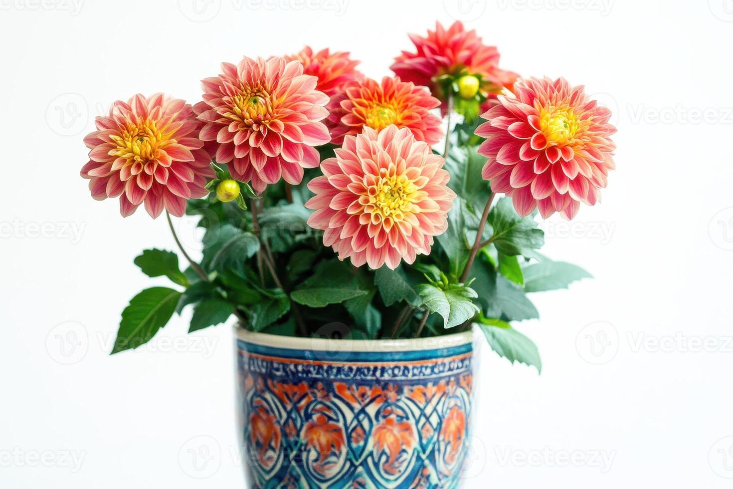 A vibrant bouquet of pink dahlias in an ornate pot, showcasing natural beauty photo