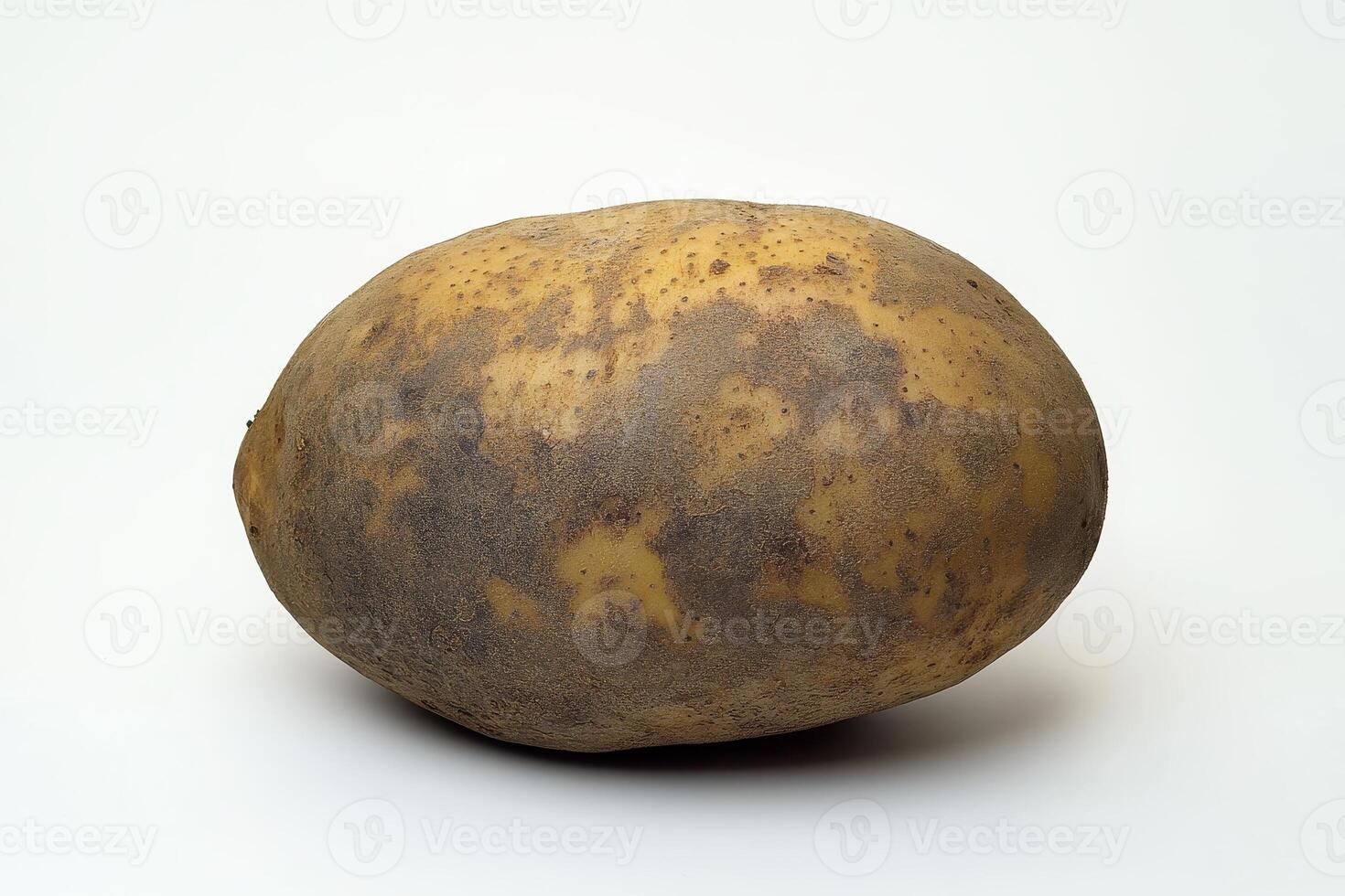 A single potato with a rough, earthy texture, showcasing its natural appearance. photo