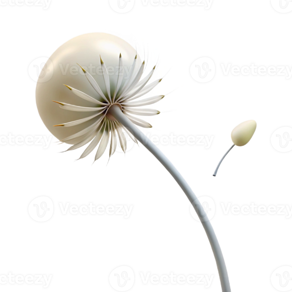 impressive rustic A single dandelion seed floating in the wind, soft focus, minimalist style premium png