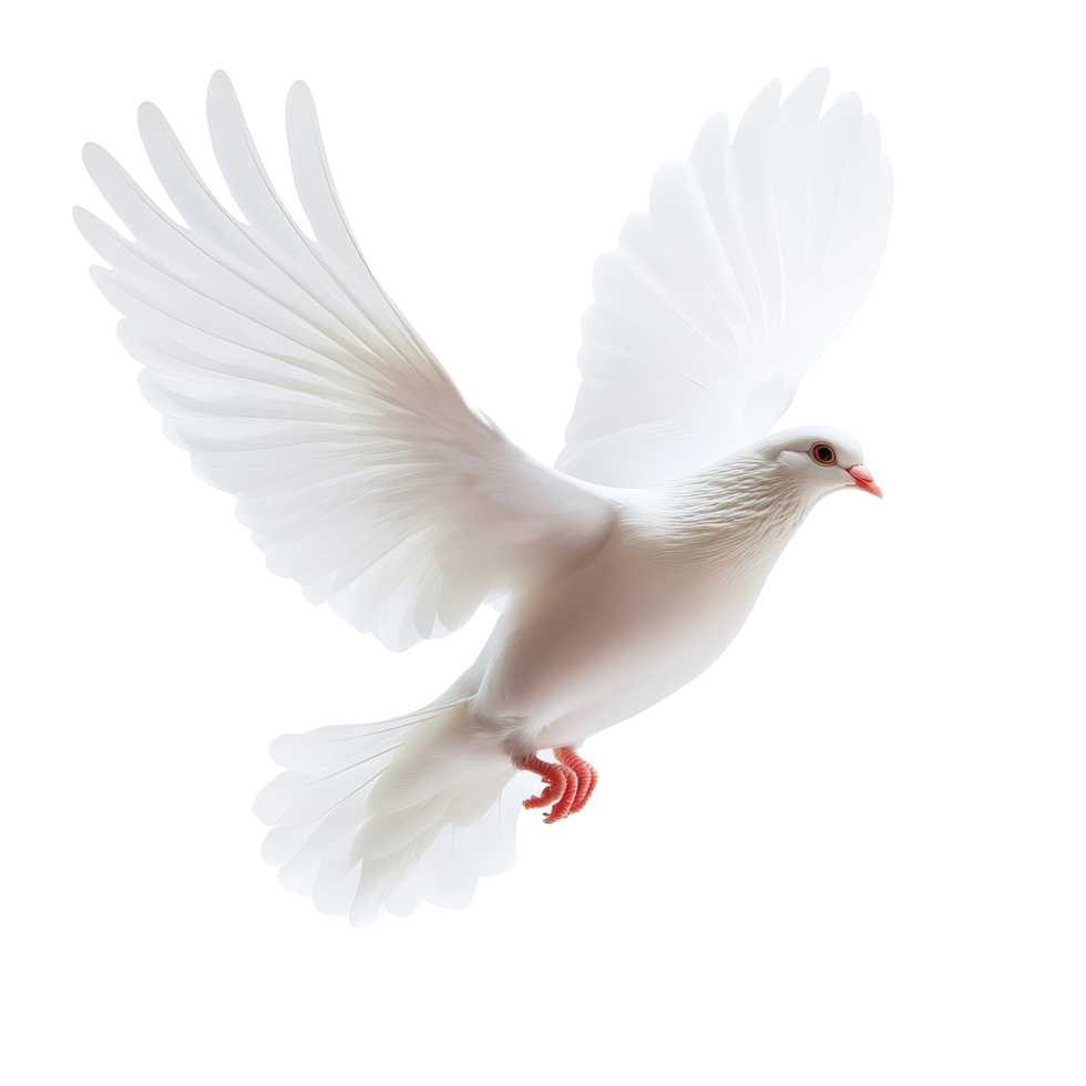 A transparent dove gracefully flying against an isolated transparent background, symbolizing peace and freedom in motion, transparent dove flying in the air,isolated transparent background png