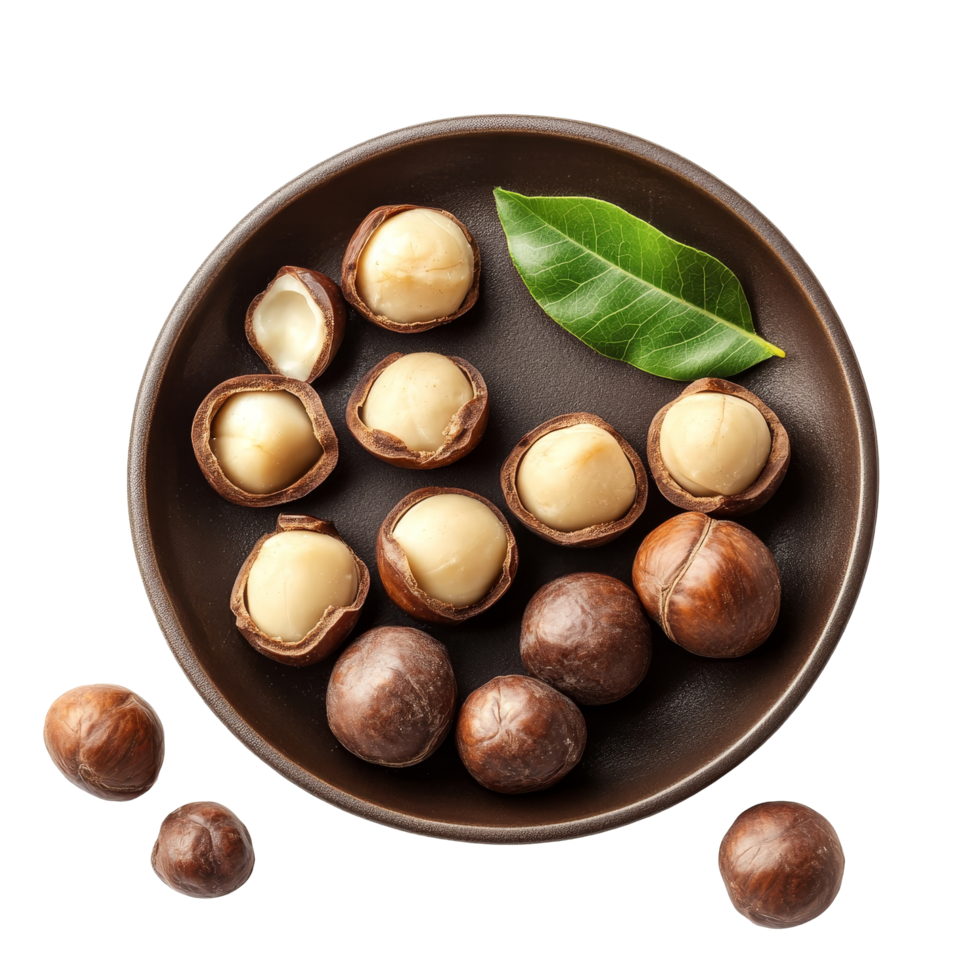 Fresh macadamia nuts displayed on a dark plate with a green leaf on a clean transparent background, macadamia nuts in plate on transparent background png