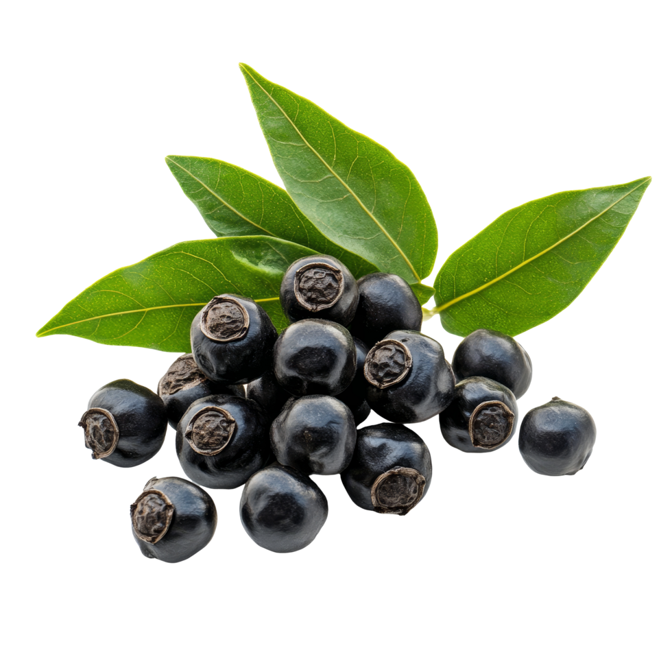 Fresh black pepper berries and vibrant leaves on a clean transparent background in transparent lighting, black peppers and leaf on transparent background png