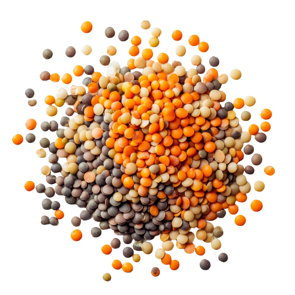 A colorful assortment of lentils on a transparent surface, showcasing various shapes and sizes for culinary uses, lentils on transparent background png