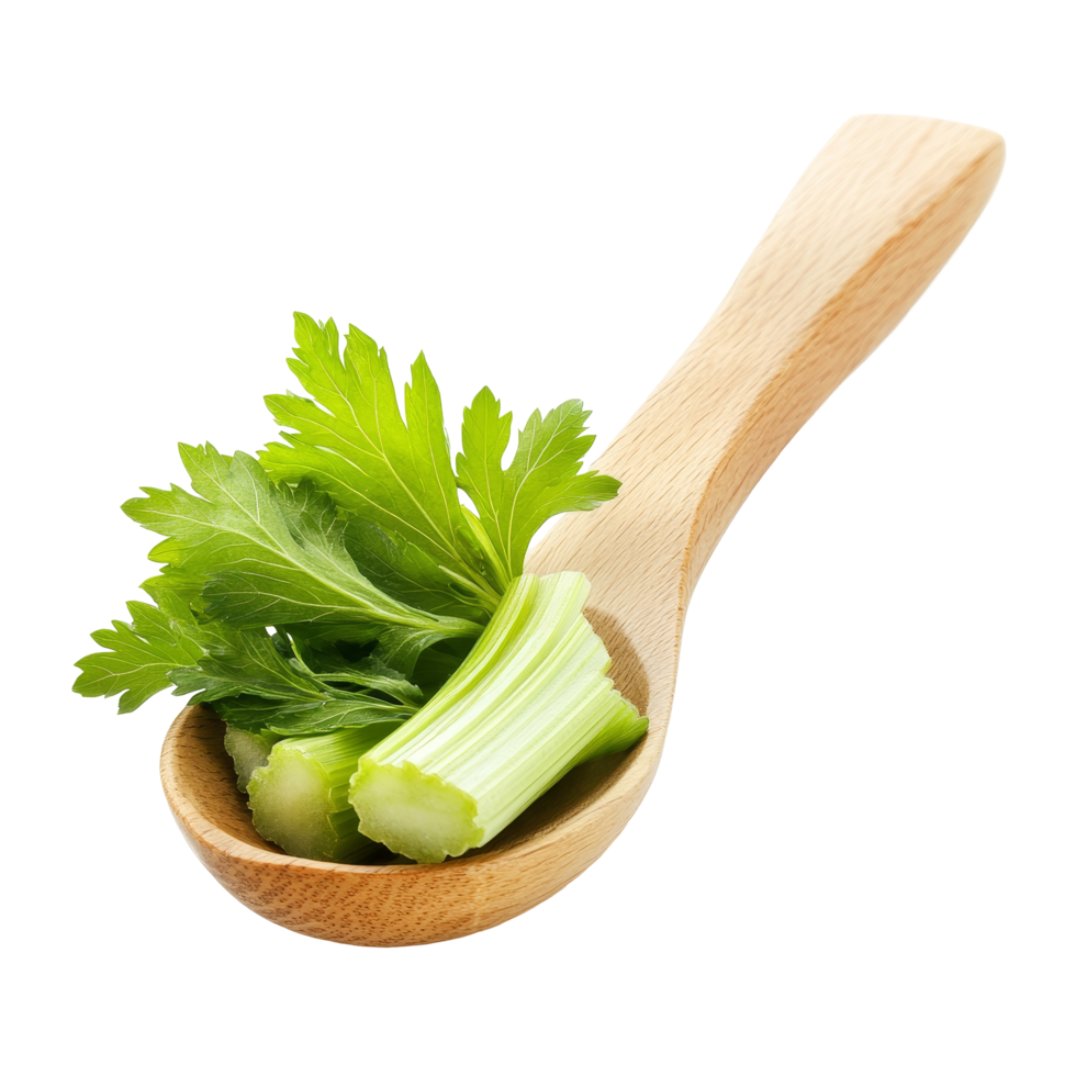 Fresh celery leaves and stalks in a wooden spoon on a transparent background for culinary use, celery leaf in wood spoon isolated on transparent background png