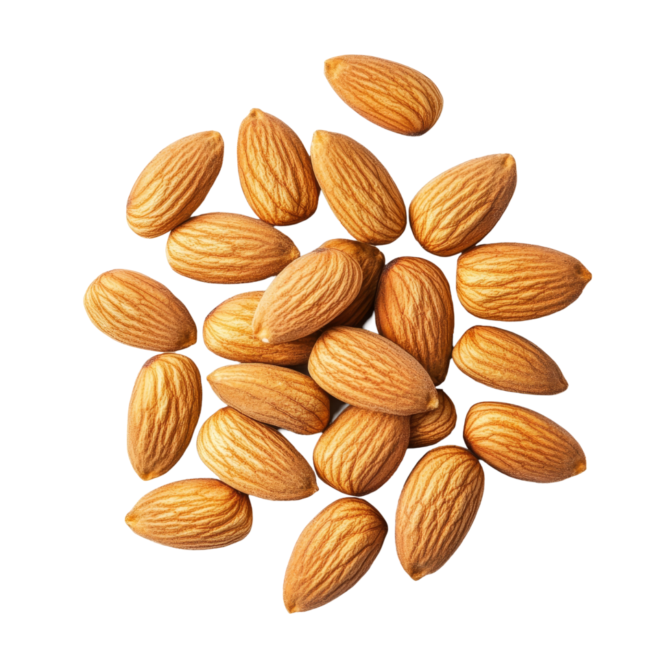 A collection of almonds arranged on a plain transparent background for food photography, almonds on transparent background png