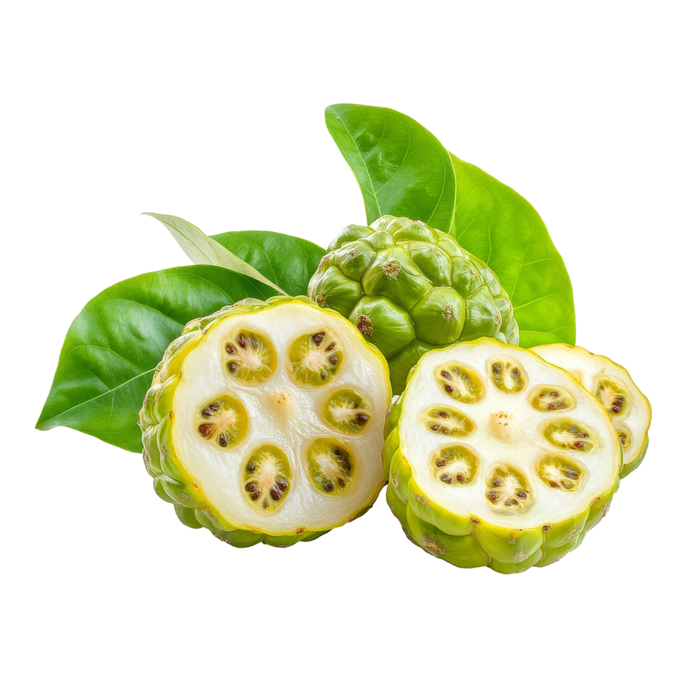 Freshly sliced noni fruits showcasing their vibrant green skin and unique interior on a transparent background, Noni or Morinda Citrifolia fruits with half sliced on transparent background png