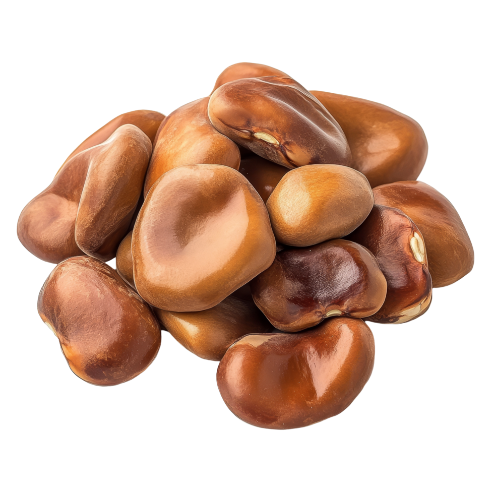 Broad Windsor fava bean seeds on a clean transparent background showcasing their rich texture and color, Broad windsor fava bean seeds on transparent background png