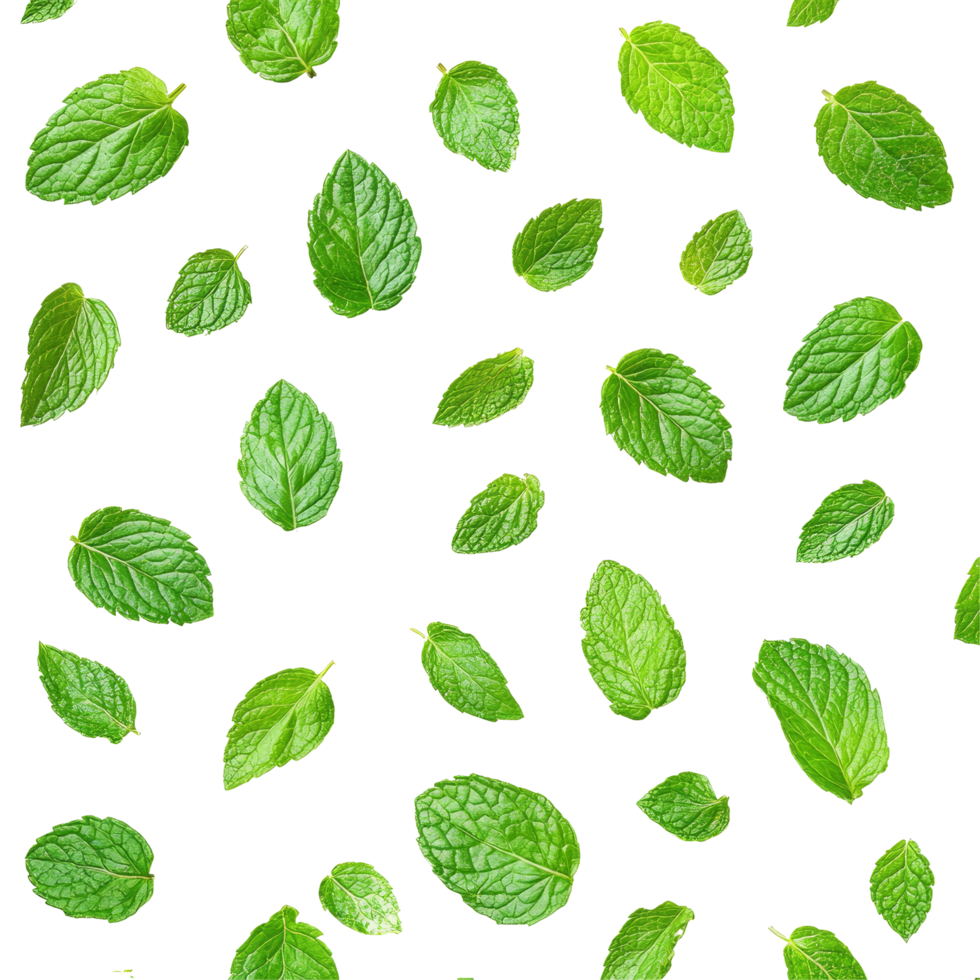 Fresh mint leaves arranged in a playful pattern on a clean transparent background for culinary and design purposes, Fresh mint leaves pattern isolated on transparent background png